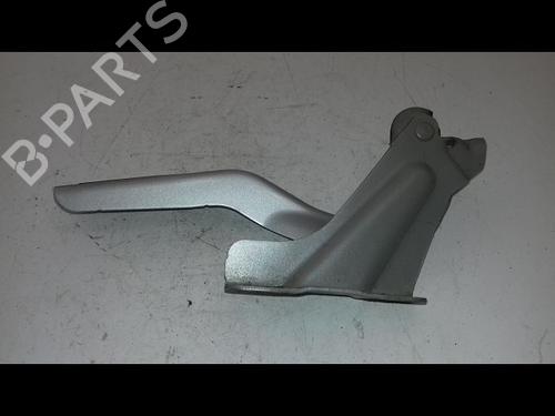 Hinge/Door check strap NISSAN MICRA IV (K13K, K13KK) 1.2 | BP29224819C146 