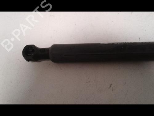 Tailgate lift support RENAULT CLIO III (BR0/1, CR0/1) 1.6 16V (BR05, BR0B, BR0Y, BR15, BR1J, BR1M, BR1Y, CR0B,... | BP16931219C138 