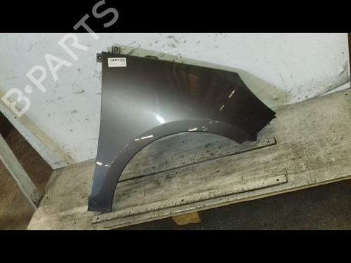 Right front fenders RENAULT SCÉNIC III (JZ0/1_) 1.5 dCi | BP30047876C42 