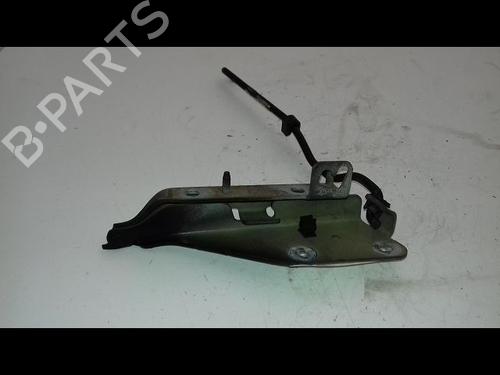 Used Hinge/Door check strap CITROËN C3 I (FC_, FN_) 1.4 i (73 hp) 19441087