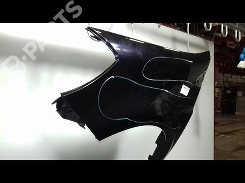 Left front fenders RENAULT CLIO III (BR0/1, CR0/1) 1.5 dCi (BR17, CR17) | BP11104782C41 