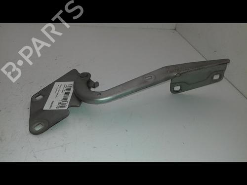 Used Hinge/Door check strap RENAULT MEGANE III Hatchback (BZ0/1_, B3_) 1.5 dCi (BZ0C) (90 hp) 19479789