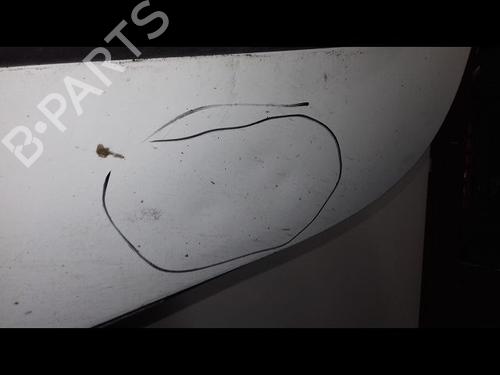 Right front door RENAULT KANGOO Express (FC0/1_) 1.5 dCi (FC07, FC1R) | BP23195414C3 