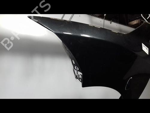 Left front fenders RENAULT MEGANE III Hatchback (BZ0/1_, B3_) 1.5 dCi | BP12564354C41 