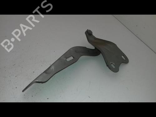 Hinge/Door check strap RENAULT TWINGO II (CN0_) 1.5 dCi 75 | BP19441095C146