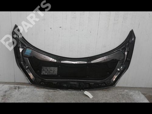 Hood RENAULT SCÉNIC II (JM0/1_) 1.9 dCi (JM14) | BP8965676C1 