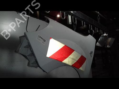 Left front fenders RENAULT KANGOO Express (FW0/1_) 1.5 dCi 70 (FW0A, KW0V) | BP29224603C41