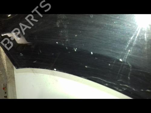 Left front fenders RENAULT MEGANE III Hatchback (BZ0/1_, B3_) 1.5 dCi (BZ09, BZ0D, BZ1W, BZ29, BZ14) | BP18779803C41 