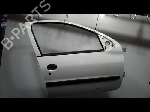 Right front door PEUGEOT 206+ (2L_, 2M_) 1.1 | BP13357111C3 