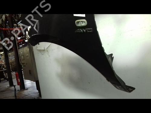 Left front fenders HYUNDAI SANTA FÉ II (CM) 2.2 CRDi GLS 4x4 | BP29216551C41 