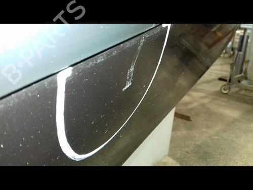 Right front door RENAULT CLIO III (BR0/1, CR0/1) 1.5 dCi (BR17, CR17) | BP19123617C3 