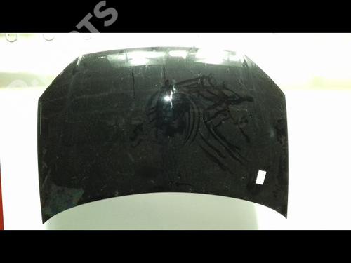 Hood VW POLO IV (9N_, 9A_) 1.4 TDI | BP11939451C1 