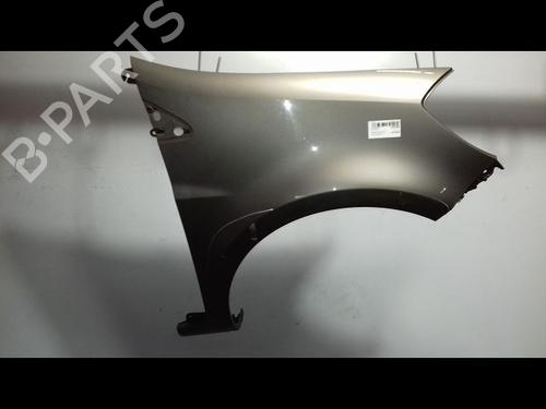 Right front fenders RENAULT CLIO III (BR0/1, CR0/1) 1.5 dCi | BP15378357C42 