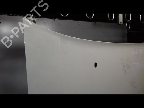 Hood FORD TRANSIT CONNECT (P65_, P70_, P80_) 1.8 Di | BP23195280C1 