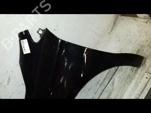 Left front fenders CITROËN C4 II (NC_) 1.6 HDi 90 | BP29224556C41 