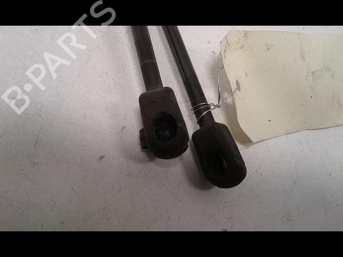 Hood lift support RENAULT SCÉNIC III (JZ0/1_) 1.5 dCi | BP14887672C139 