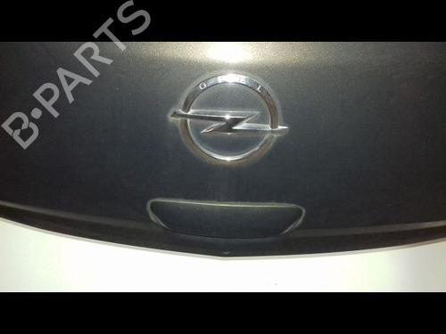 Tailgate OPEL CORSA D (S07) 1.2 (L08, L68) | BP21088314C6 