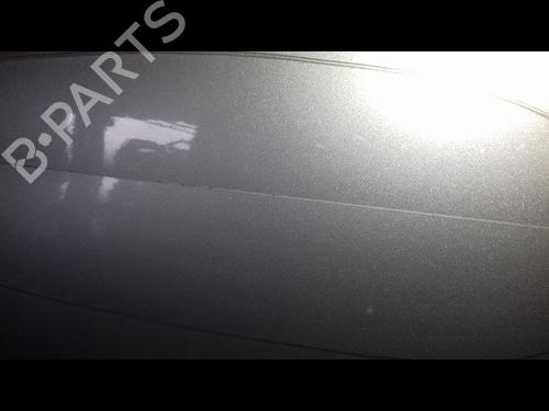 Left front door NISSAN PRIMERA Hatchback (P12) 1.9 dCi | BP29216645C2 