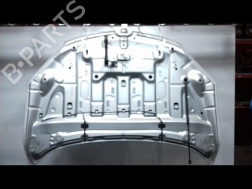 Used Hood RENAULT MEGANE III Hatchback (BZ0/1_, B3_) 1.5 dCi (86 hp) 12431700