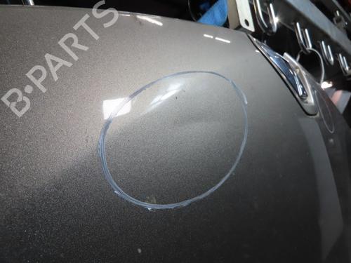 Hood RENAULT MEGANE II (BM0/1_, CM0/1_) 1.5 dCi (BM1E, CM1E) | BP18017971C1 