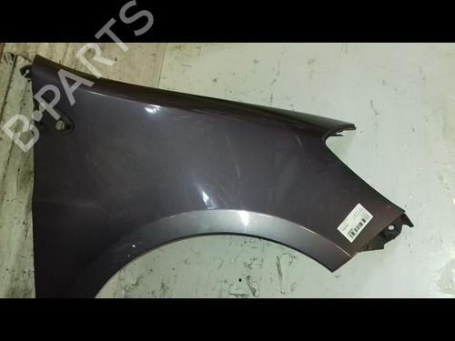 Right front fenders RENAULT CLIO III (BR0/1, CR0/1) 1.5 dCi (C/BR0G, C/BR1G) | BP29224548C42 