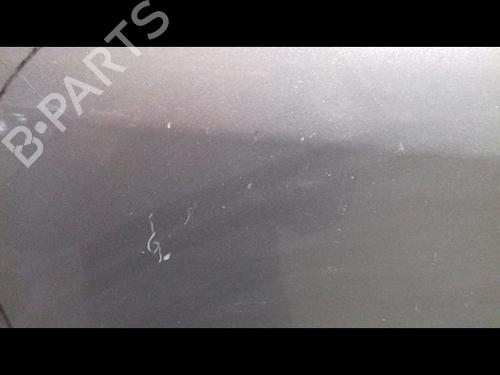 Left front door RENAULT SCÉNIC III (JZ0/1_) 1.5 dCi | BP19319732C2 