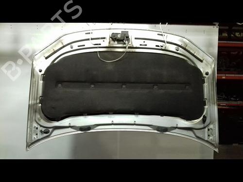 Used Hood VW TOURAN (1T1, 1T2) 2.0 TDI (140 hp) 15378388