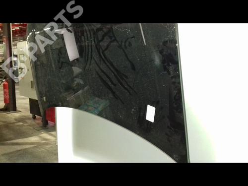 Hood VW POLO IV (9N_, 9A_) 1.4 TDI | BP11939451C1 