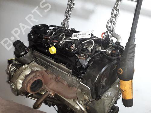Used Engine SKODA FABIA II (542) 1.6 TDI (90 hp) 29872575