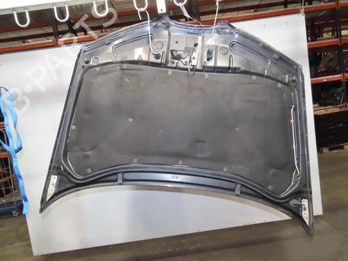 Used Hood SEAT IBIZA III (6L1) 1.9 TDI (100 hp) 17730953