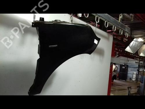 Right front fenders RENAULT SCÉNIC III (JZ0/1_) 1.9 dCi (JZ0J, JZ1J, JZ1K, JZ1S) | BP18887480C42 