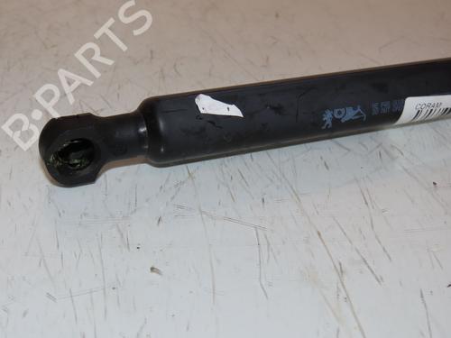 Tailgate lift support PEUGEOT 208 II (UB_, UP_, UW_, UJ_) e-208 | BP21274529C138 