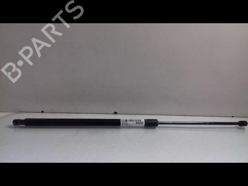 Used Tailgate lift support VW CADDY III MPV (2KB, 2KJ, 2CB, 2CJ) 1.9 TDI (105 hp) 14893514