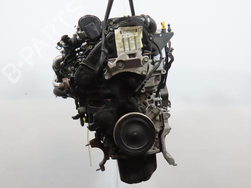 Motor FORD FIESTA VI (CB1, CCN) 1.4 TDCi | BP29963680M1