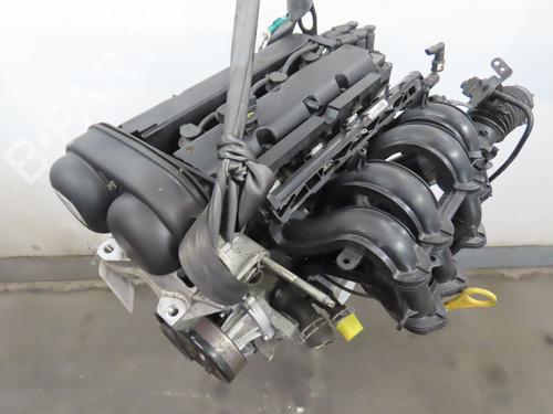 Used Engine Engine FORD FIESTA VI (CB1, CCN) 1.25 (82 hp) 40273406 40273406