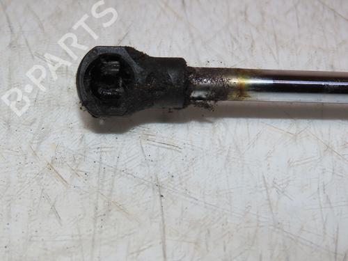 Used Tailgate lift support RENAULT CLIO III (BR0/1, CR0/1) 1.5 dCi (BR0H, CR0H, CR1S, BR1S) (106 hp) 26310940