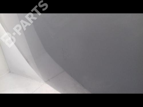 Hood RENAULT MEGANE II (BM0/1_, CM0/1_) 1.6 16V (BM0C, CM0C) | BP10516720C1 