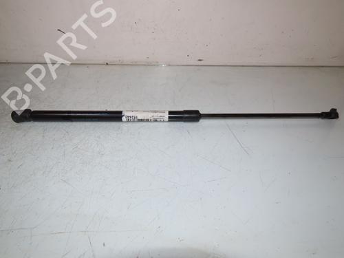 Tailgate lift support NISSAN QASHQAI II (J11, J11_) 1.2 DIG-T | BP25015201C138