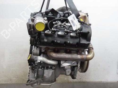 Engine RENAULT MODUS / GRAND MODUS (F/JP0_) 1.5 dCi 75 | BP36244559M1 - Image 2