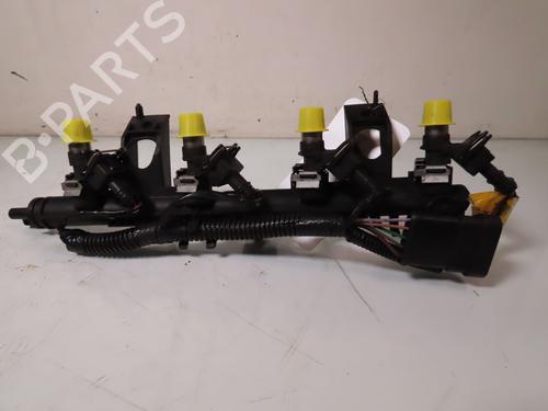 Used Injector RENAULT TWINGO II (CN0_) 1.2 16V (CN04, CN0B) (75 hp) 22185944