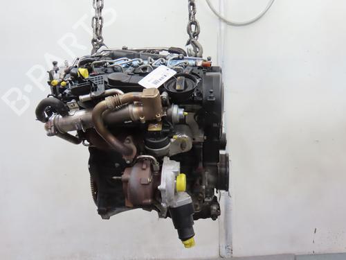 Engine AUDI Q5 (8RB) 2.0 TDI quattro | BP18326979M1 