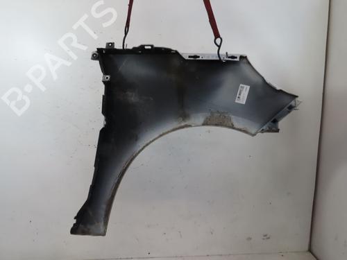 Used Left front fenders RENAULT SCÉNIC III (JZ0/1_) 1.5 dCi (110 hp) 25376299
