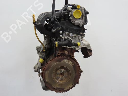 Engine RENAULT TWINGO II (CN0_) 1.2 16V (CN04, CN0B) | BP28445542M1 