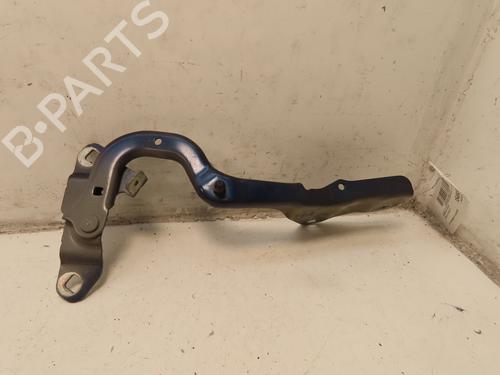 Hinge/Door check strap RENAULT GRAND SCÉNIC IV (R9_) 1.2 TCe 130 | BP29442231C146 