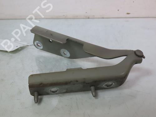 Hinge/Door check strap CITROËN C3 I (FC_, FN_) 1.4 HDi | BP24706412C146