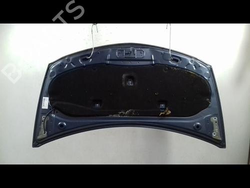 Hood RENAULT CLIO III (BR0/1, CR0/1) 1.5 dCi | BP12551639C1 