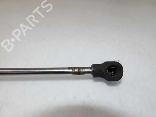 Tailgate lift support PEUGEOT 2008 I (CU_) 1.6 HDi | BP25750558C138