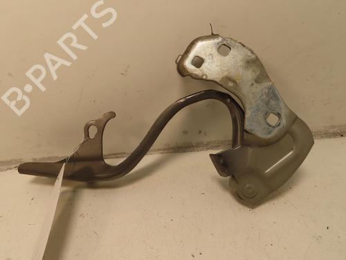 hingedoor-check-strap-fiat-500-312_-2007-30605714 main image