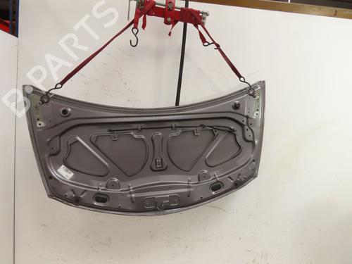 Hood RENAULT CLIO III (BR0/1, CR0/1) 1.2 16V (BR02, BR0J, BR11, CR02, CR0J, CR11) | BP28685432C1 