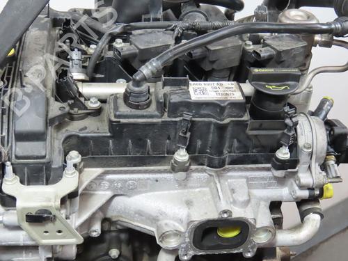 Motor FORD FIESTA VI (CB1, CCN) 1.0 (80 hp) 18124593